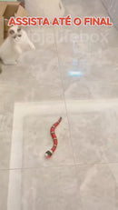 Cobra 3d Interativa (Infravermelho)